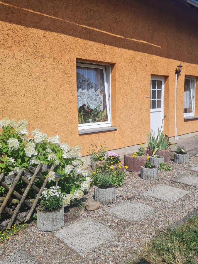 Ferienwohnung Warnitz Blankenburg  Esterno foto